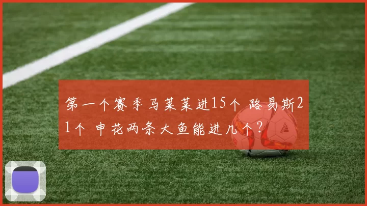 第一个赛季马莱莱进15个 路易斯21个 申花两条大鱼能进几个？