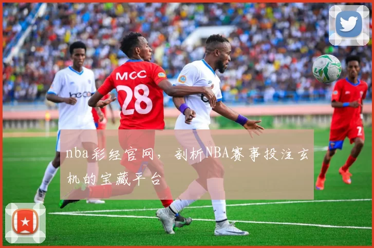 nba彩经官网，剖析NBA赛事投注玄机的宝藏平台