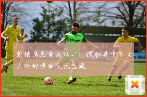 爱情鸟免费论坛二:探秘其中不为人知的情感交流宝藏