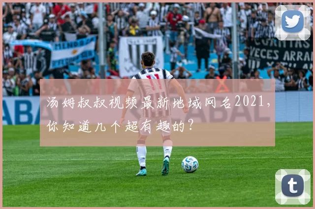 汤姆叔叔视频最新地域网名2021,你知道几个超有趣的?