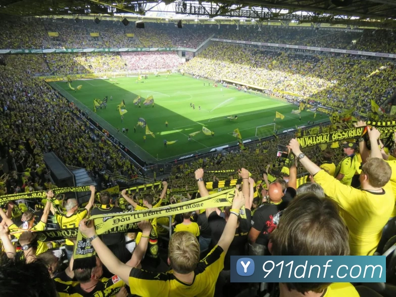 leyu官网入口品牌故事